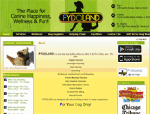 Tablet Screenshot of fydoland.com